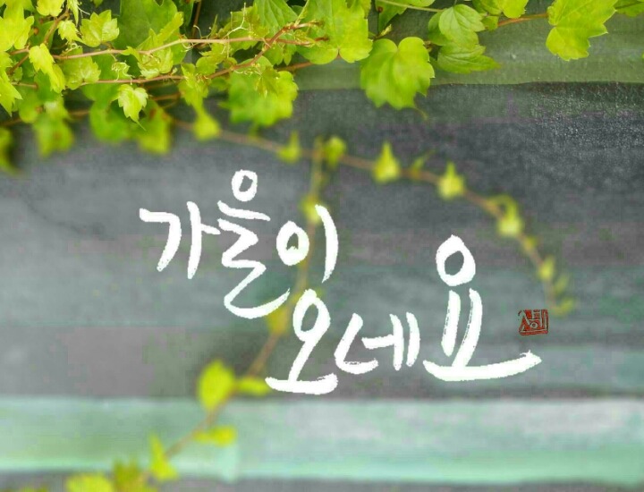 단아 이미지