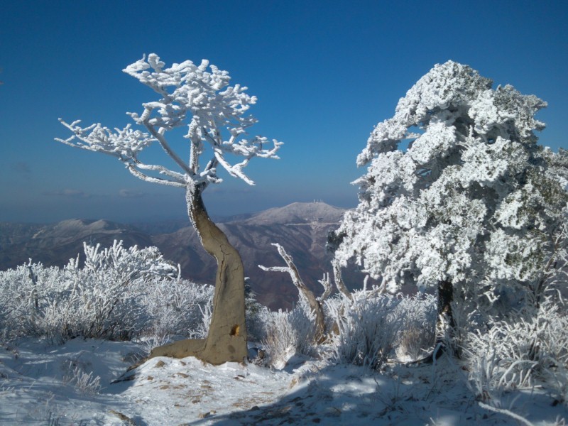 (주)태백산 이미지