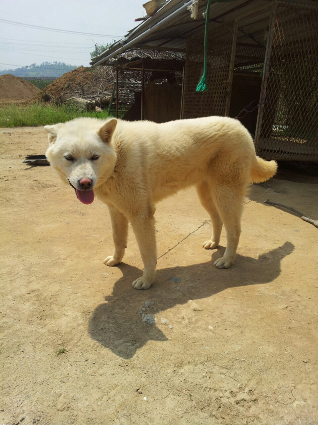한울실업 이미지