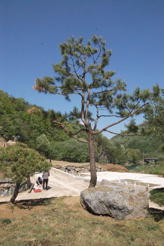 충북조경 이미지