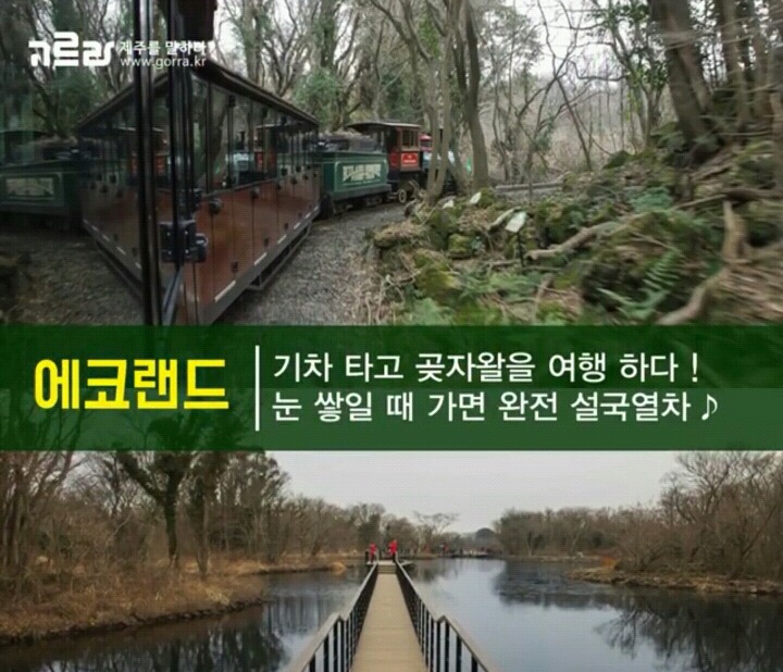 제주 겨울 여행지 12.jpg | 인스티즈