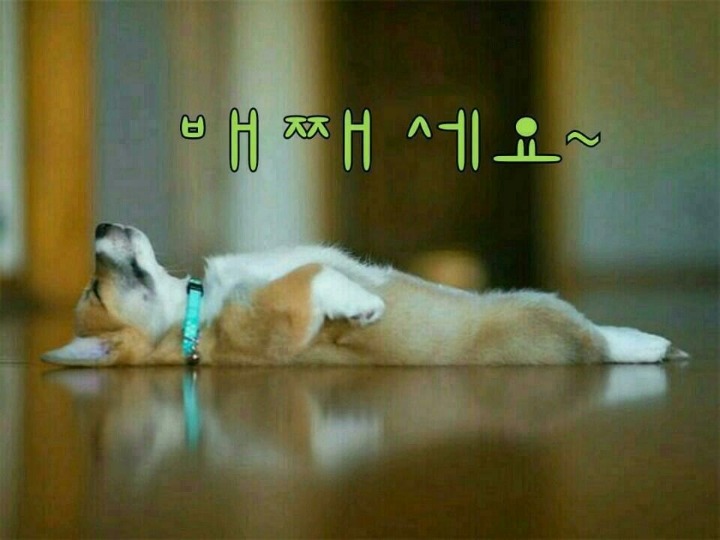 일루와 일루 이미지