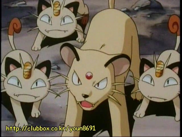 [포켓몬] 나옹이의 가나다라마바사 | 인스티즈