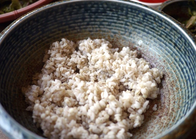 좋아하는 밥은 뭔가요 | 인스티즈