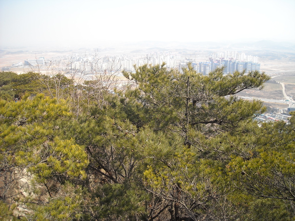 인천수산업협동조합 이미지