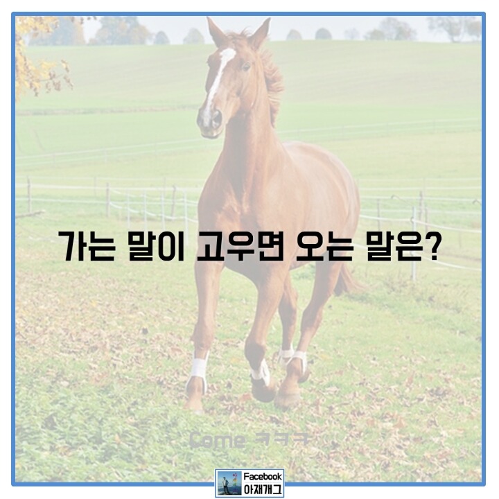 좋아하는 사람만 좋아한다는 | 인스티즈