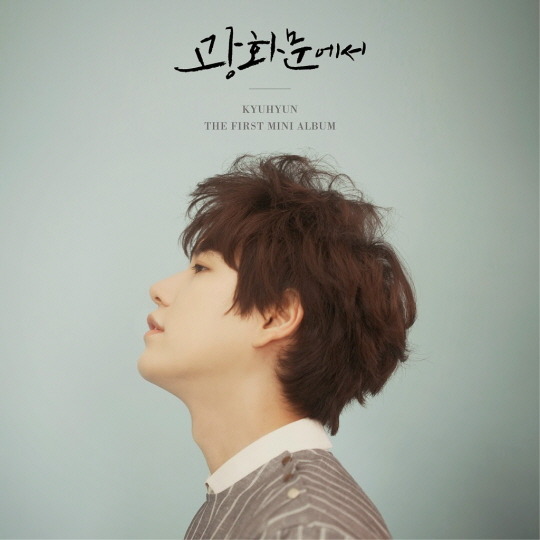 주관적인 2014 국내 최고의 앨범 BEST 30 (소리) | 인스티즈