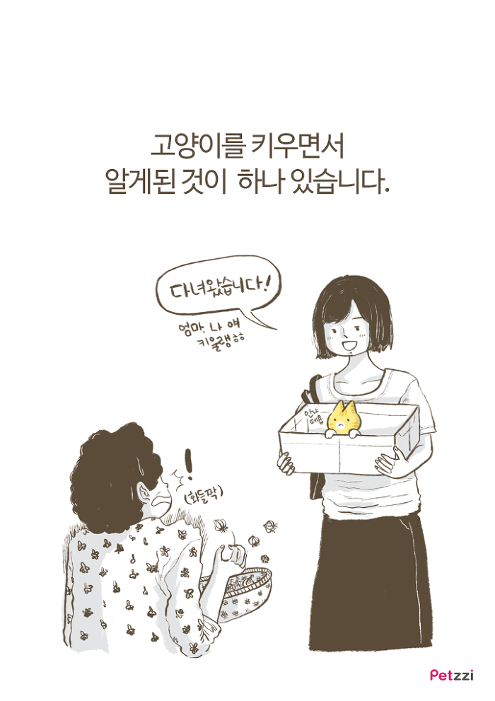 이해할 수 없는 고양이들의 취향.jpg | 인스티즈