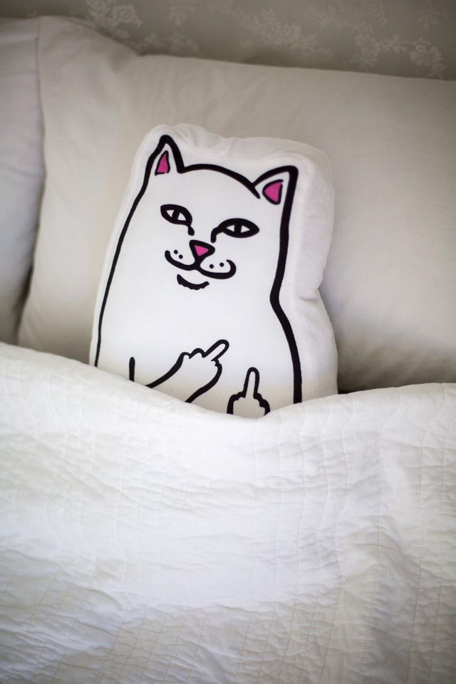 [ripndip] 유명 고양이 아이템 | 인스티즈