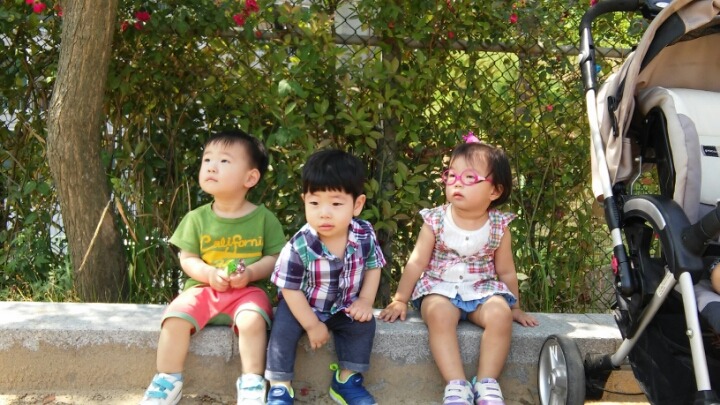 삼어초등학교 이미지