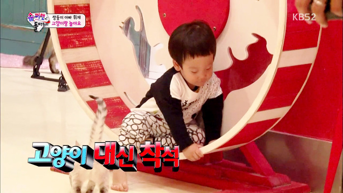 [슈퍼맨이돌아왔다] 서언이가 한없이 관대해지는 존재들ㅋㅋㅋ.JPG | 인스티즈