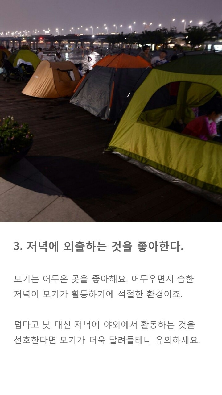 모기에게 잘 물리는 사람들 특징 9가지 | 인스티즈