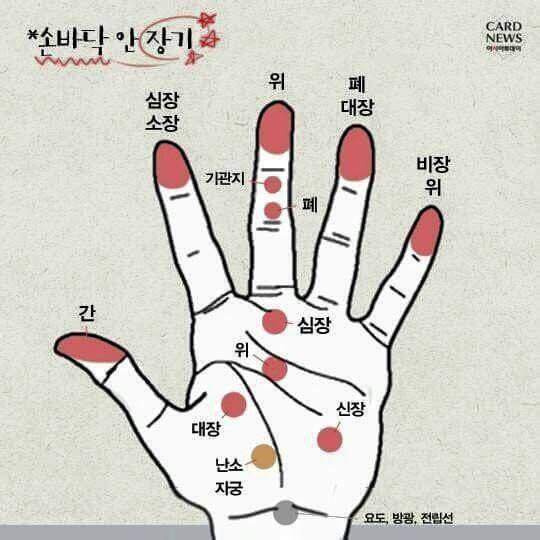 내가 모은 잡다한 정보들 데이터주의 | 인스티즈