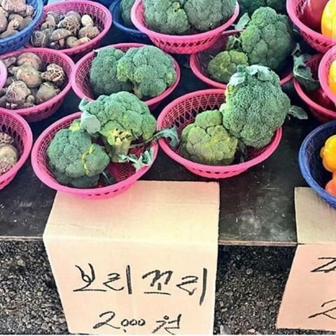 시장통 이미지