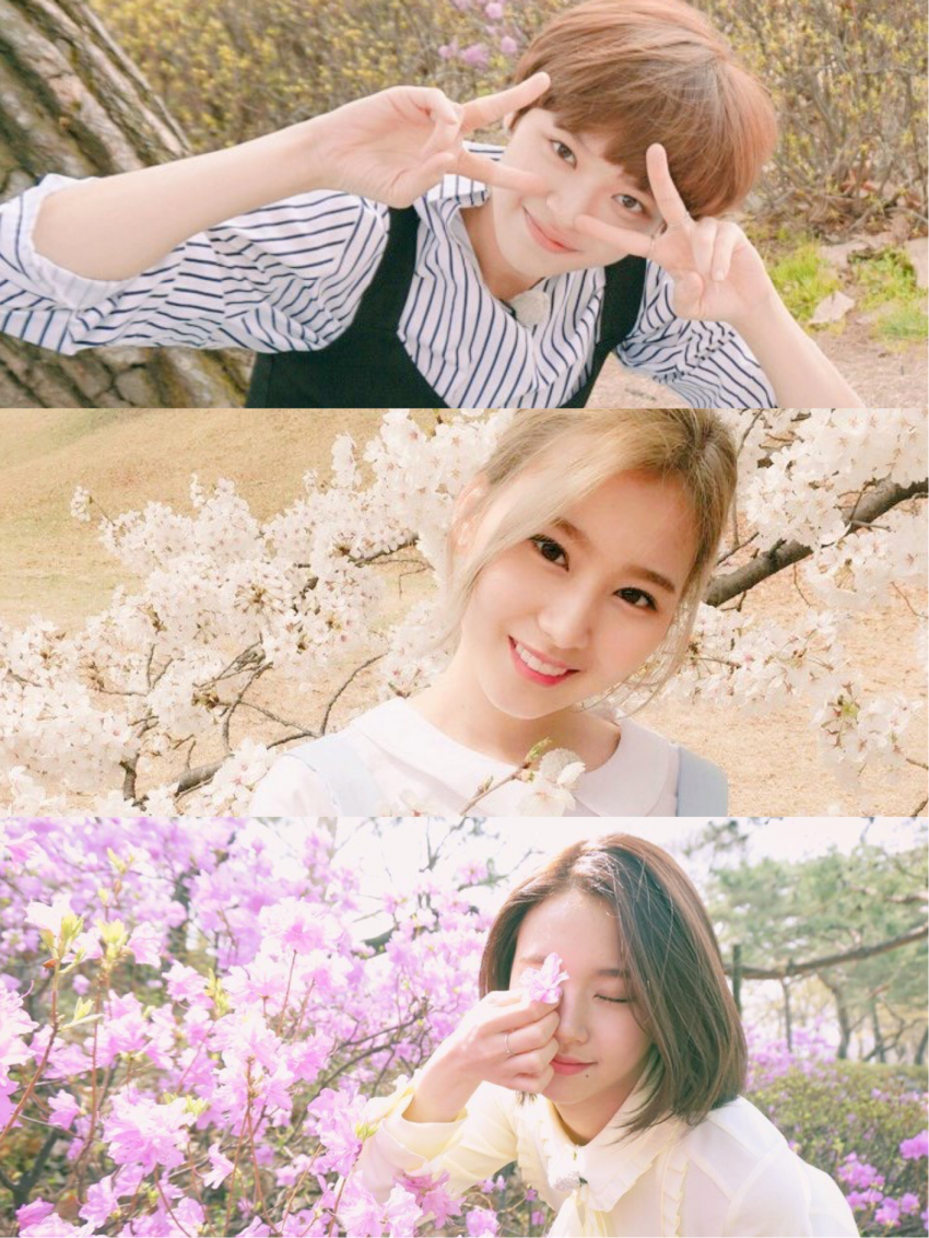 [트와이스] 트와이스 9명 단체사진 및 짤 모음 | 인스티즈