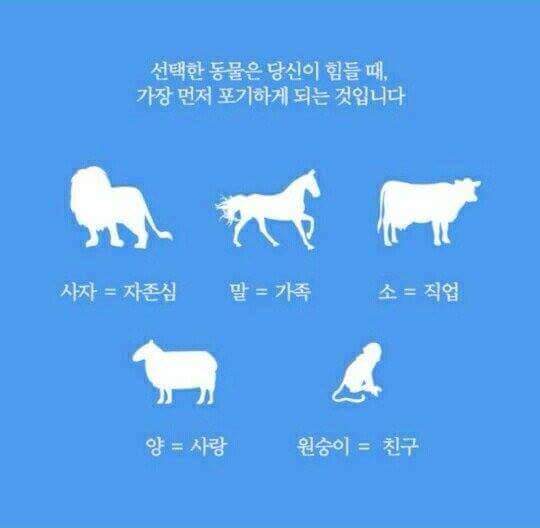 미국에서 퍼지고 있는 정확한 테스트 | 인스티즈
