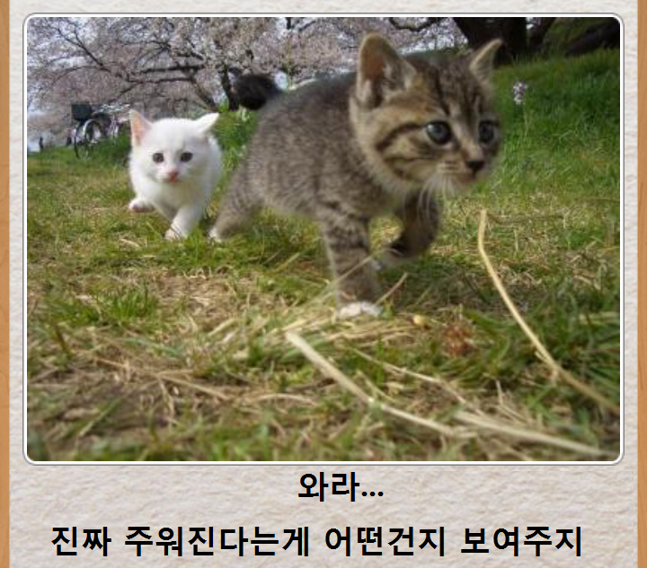 믿고보는 제목학원 | 인스티즈