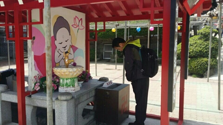 미경사 이미지