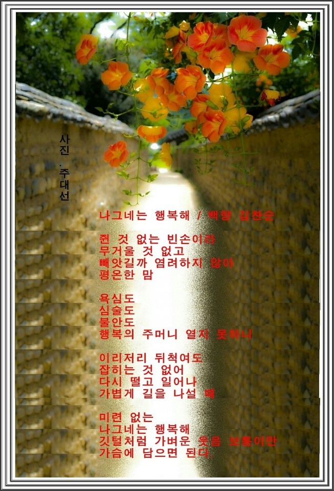 백향 이미지