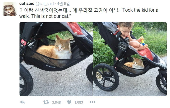 얘 우리집 고양이 아님 | 인스티즈