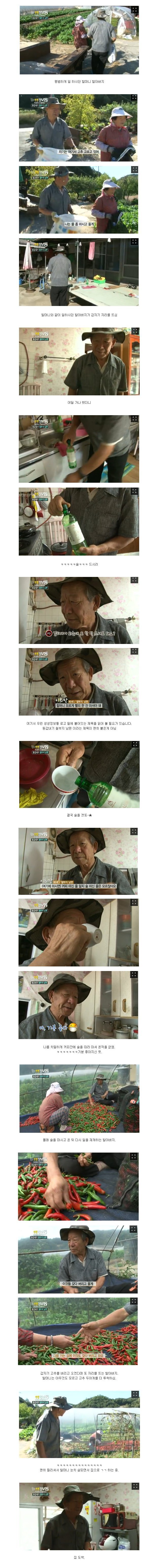 대한민국 4대 할아버지 | 인스티즈