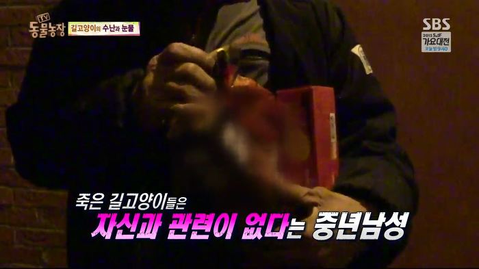 눈앞에서 제 아이가 맞아죽었습니다. 도와주세요 | 인스티즈