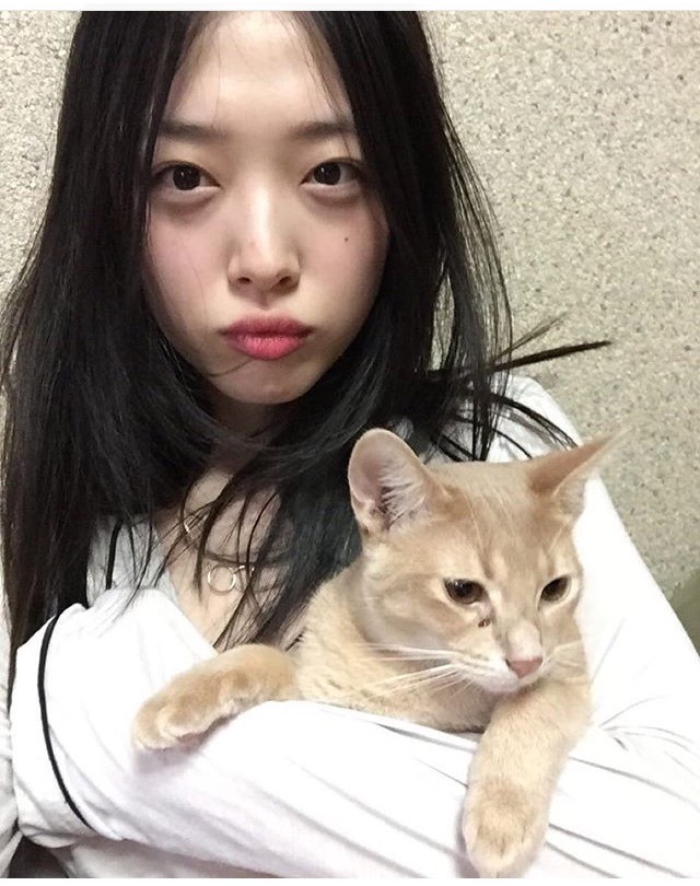 설리 인스타 | 인스티즈
