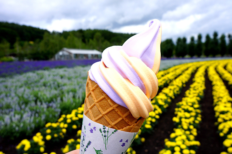 특이한 소프트 아이스크림들.jpg | 인스티즈