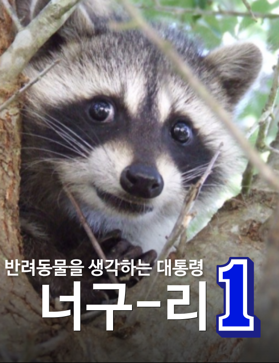 현재 문재인 홈페이지 상황 | 인스티즈