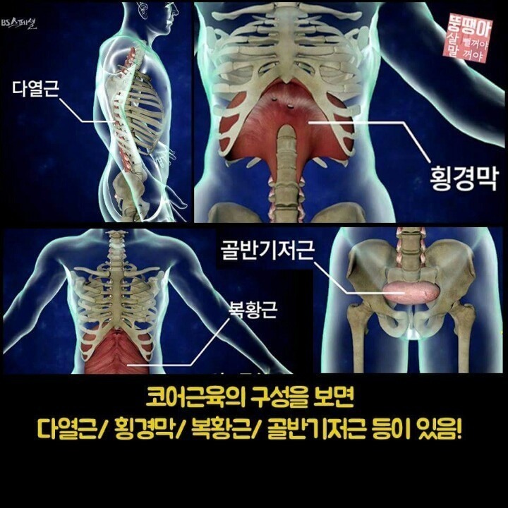 우리몸에서 가장 중요한 코어 근육 운동법.jpgif | 인스티즈
