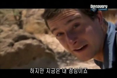 너그러워진 마음으로 터는 해충놈들.jpg | 인스티즈
