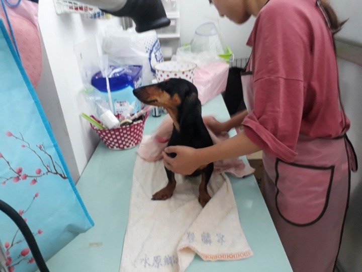마끼 이미지