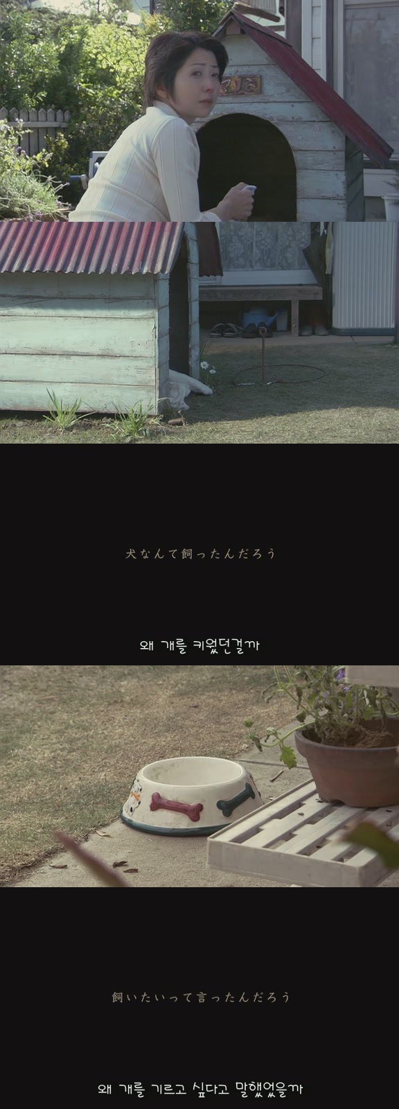 강아지의 삶 | 인스티즈