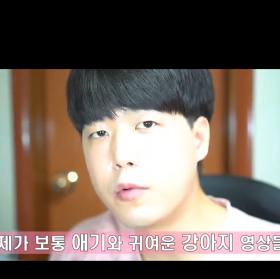 [멋짐주의] 정선호의 애완동물에 대한 잘못된생각 이분 말씀으로 다시 바로잡으세요 | 인스티즈