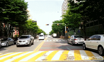 미친 것 같은 자라니.gif (놀람주의) | 인스티즈