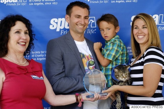 멋있는 고양이.gif | 인스티즈