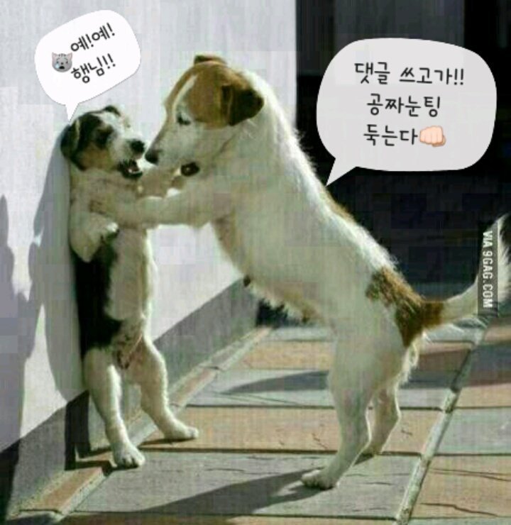 길다방 이미지