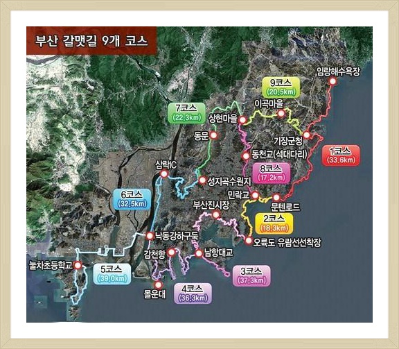 바다소풍 이미지