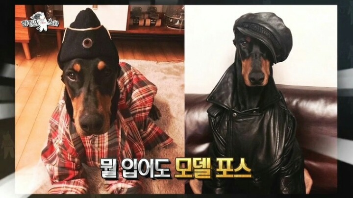 배정남의 애완견.jpg | 인스티즈