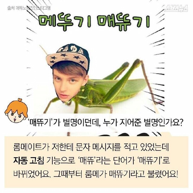 한국여자랑 결혼하고싶다고 말한 폴란드인 모델 매튜 | 인스티즈