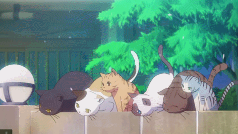 2D 고양이 | 인스티즈