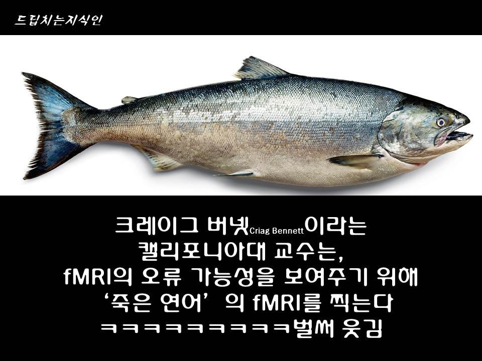 어마어마한 일들을 하고 있는 첨단 뇌공학 | 인스티즈