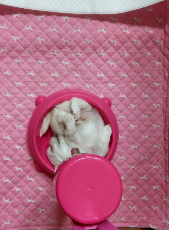 루미야 이미지