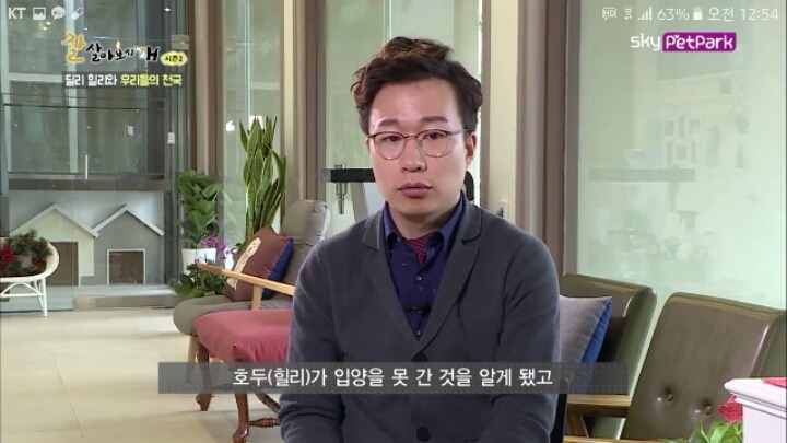 사람에 대한 트라우마가 있는 강아지 딜리 | 인스티즈