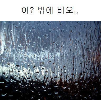 강아지들에게 장난으로 해서는 안되는 말.jpg | 인스티즈