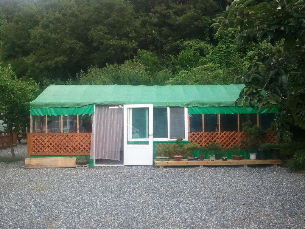 시골국수 이미지