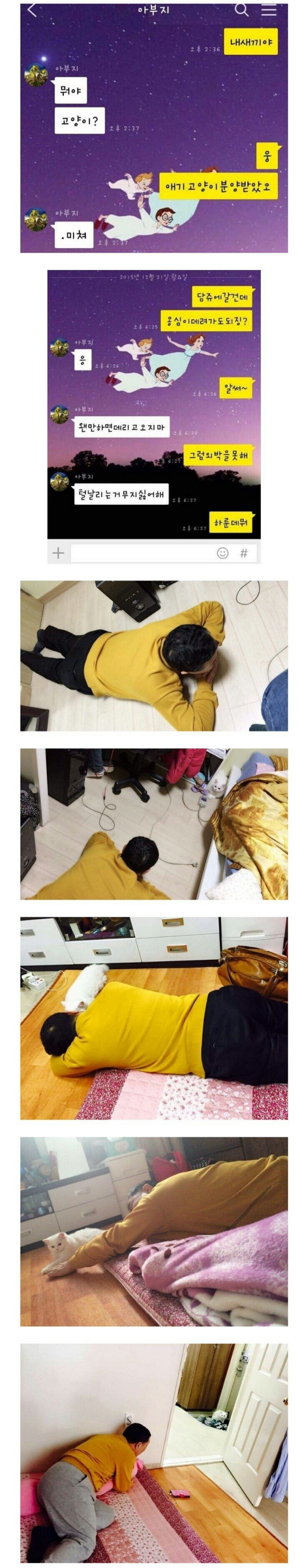 아버지는 고양이가 싫다고하셨어 | 인스티즈