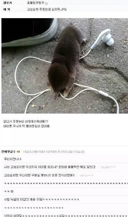 인생 재밌게 사시는분 | 인스티즈
