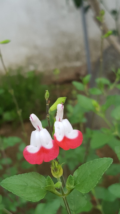 청천재활원 이미지