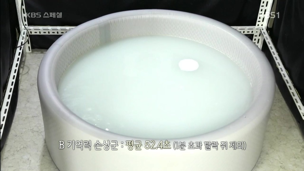 세계가 말하는 한의학과 동의보감 | 인스티즈